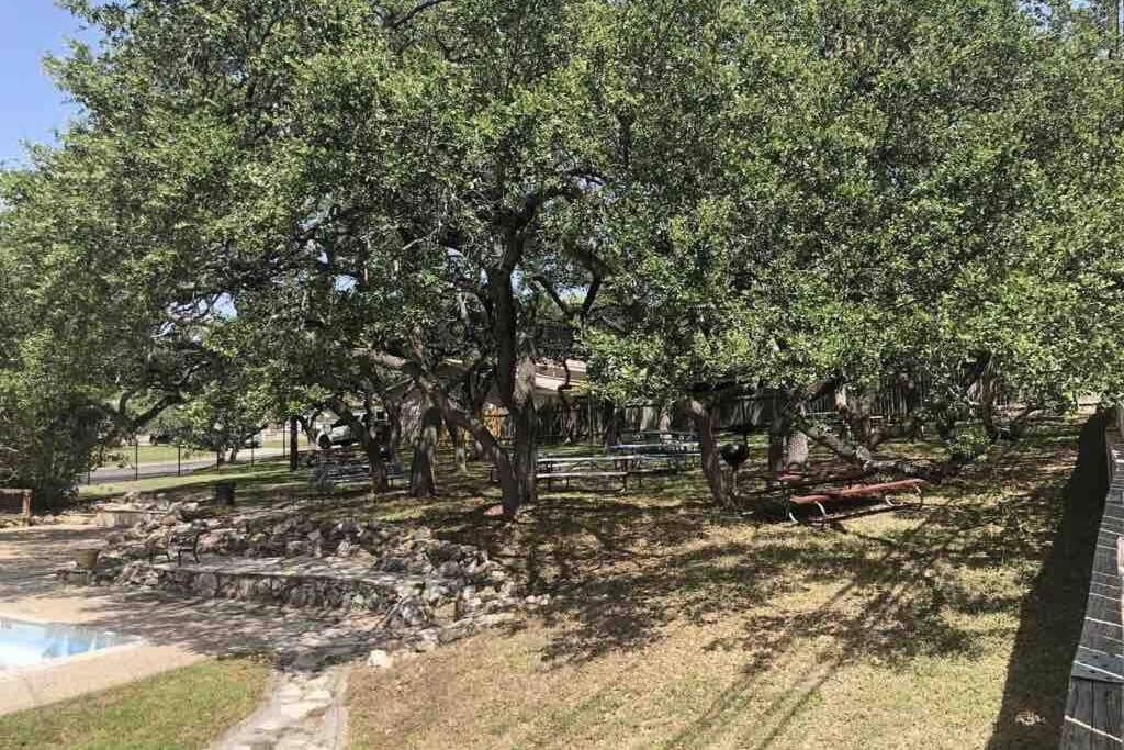 Cyc Eclectic Back House With Bbq Gazebo San Antonio Exterior foto